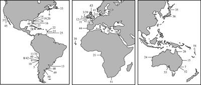 Casting a light on the shoreline: The influence of light pollution on intertidal settings